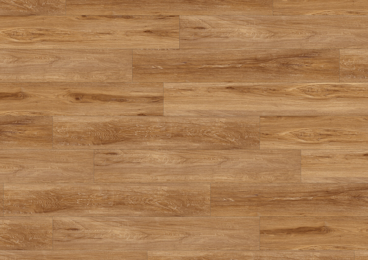 ALBION HONEY C70 MEGACLIC